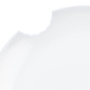 2 x 28 cm plates with bite