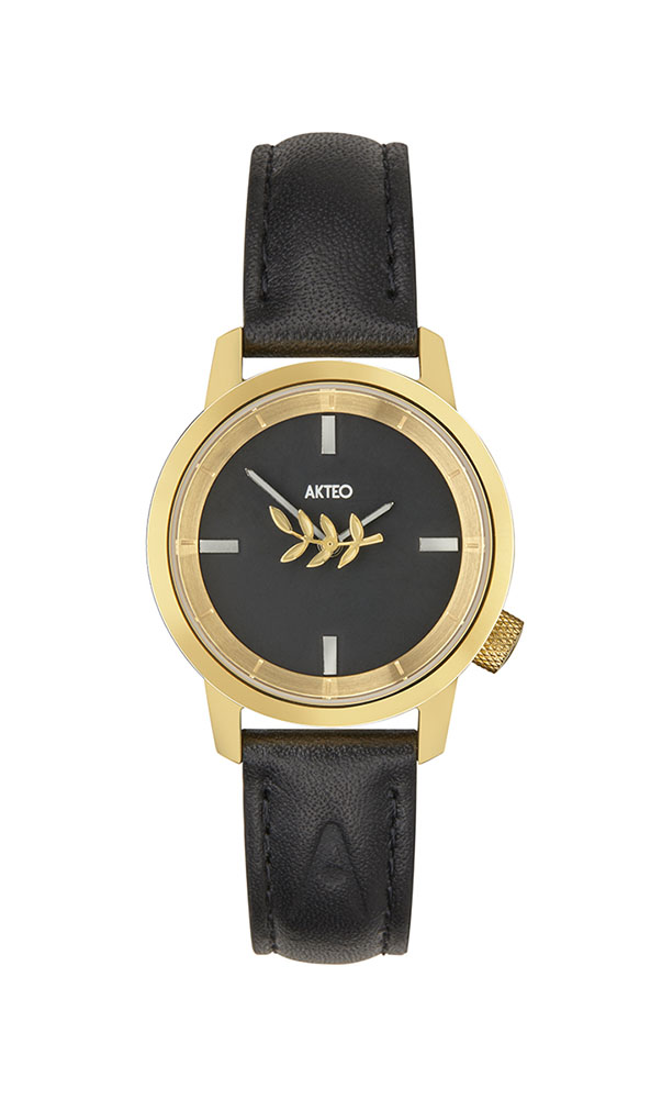 astronomie 38 montre akteo theme maison adam artisans.jpg